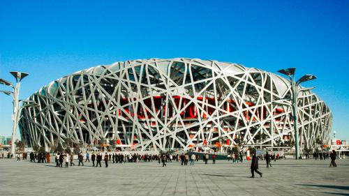 Bird's Nest