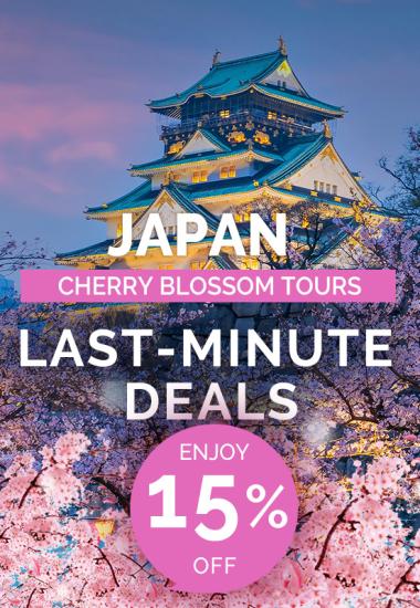 Japan Cherry Blossom Deals