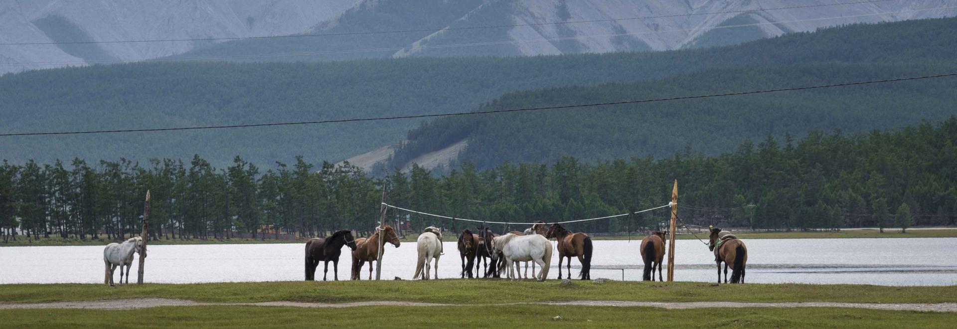 Lake Khuvsgul in Mongolia| TAS Mongolia DMC