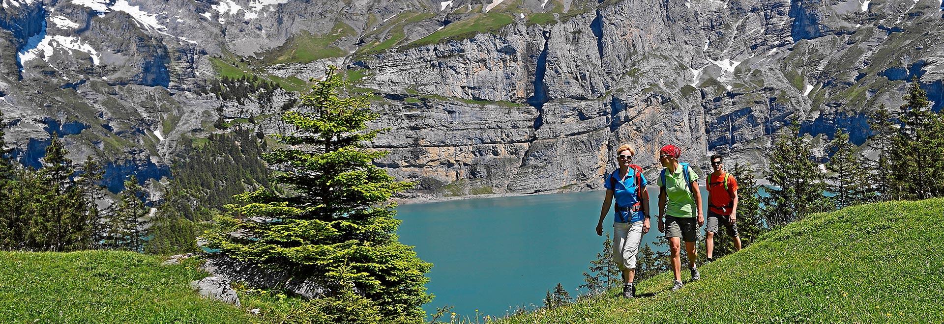 TAS Marketing Support