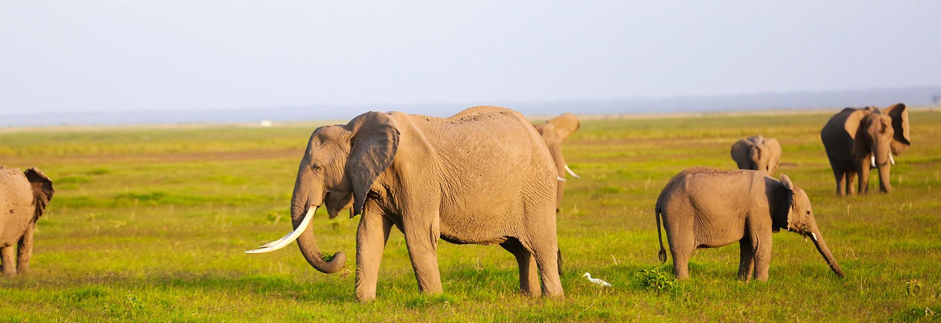 Uganda