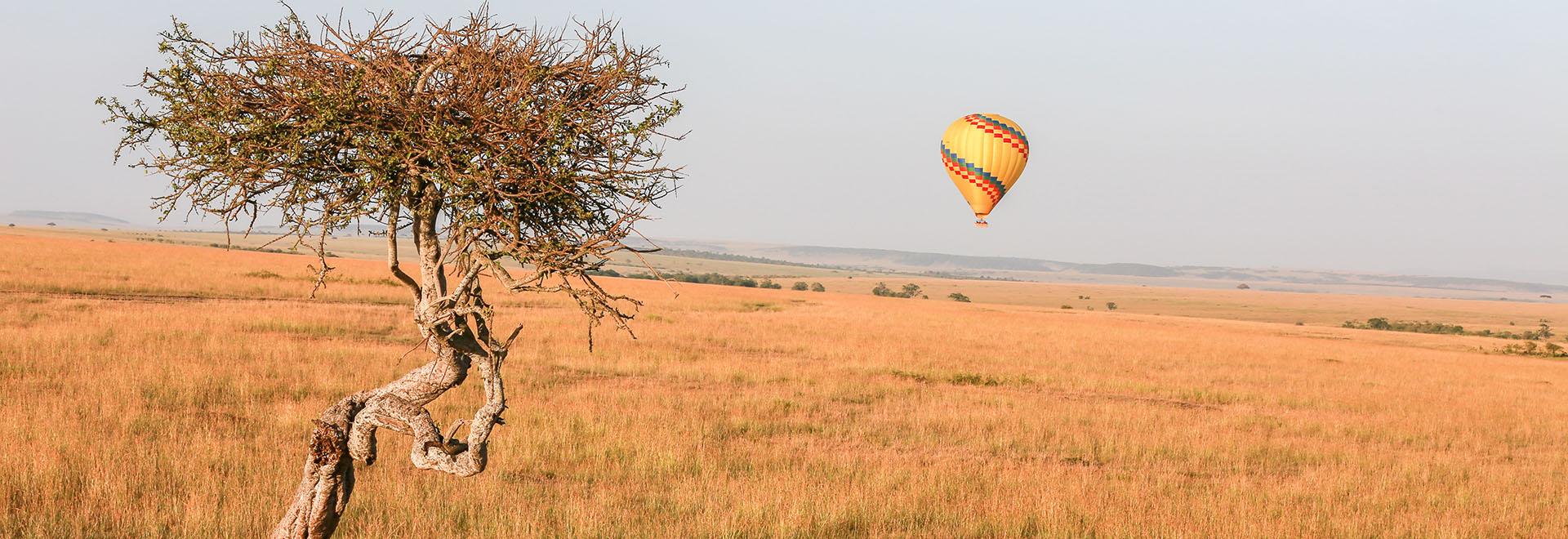 Kenya Safari & Beach Bliss Tour