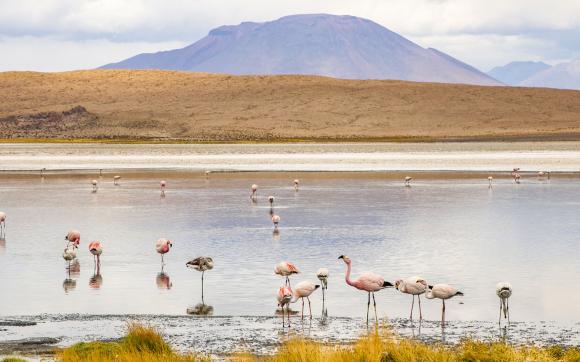 Bolivia