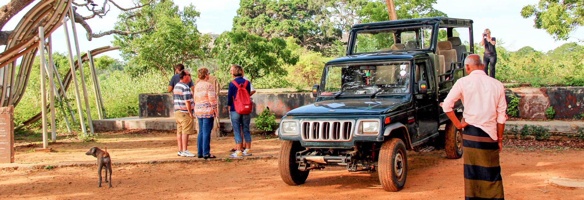 Wildlife Safari