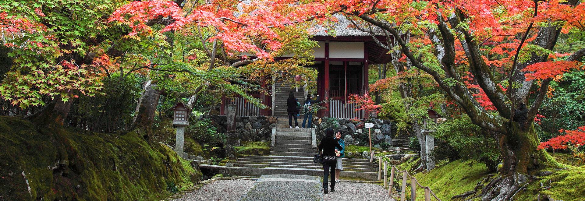 Japan Autumn Tour with Kumano Kodo