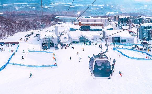 Hokkaido Tour With Skiing