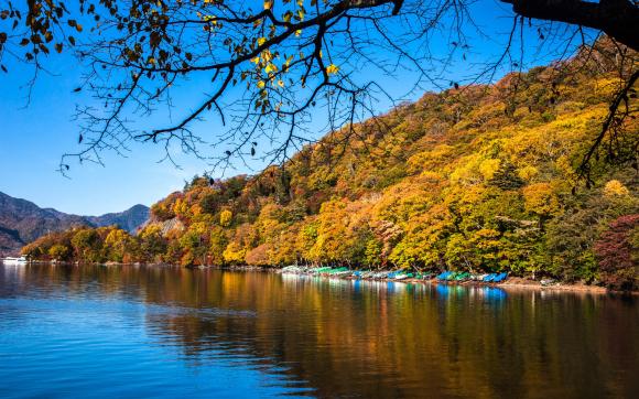 14-Day Japan Autumn Tour with Kumano Kodo