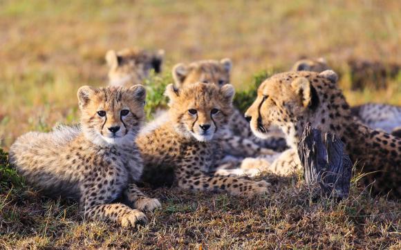 Kenya