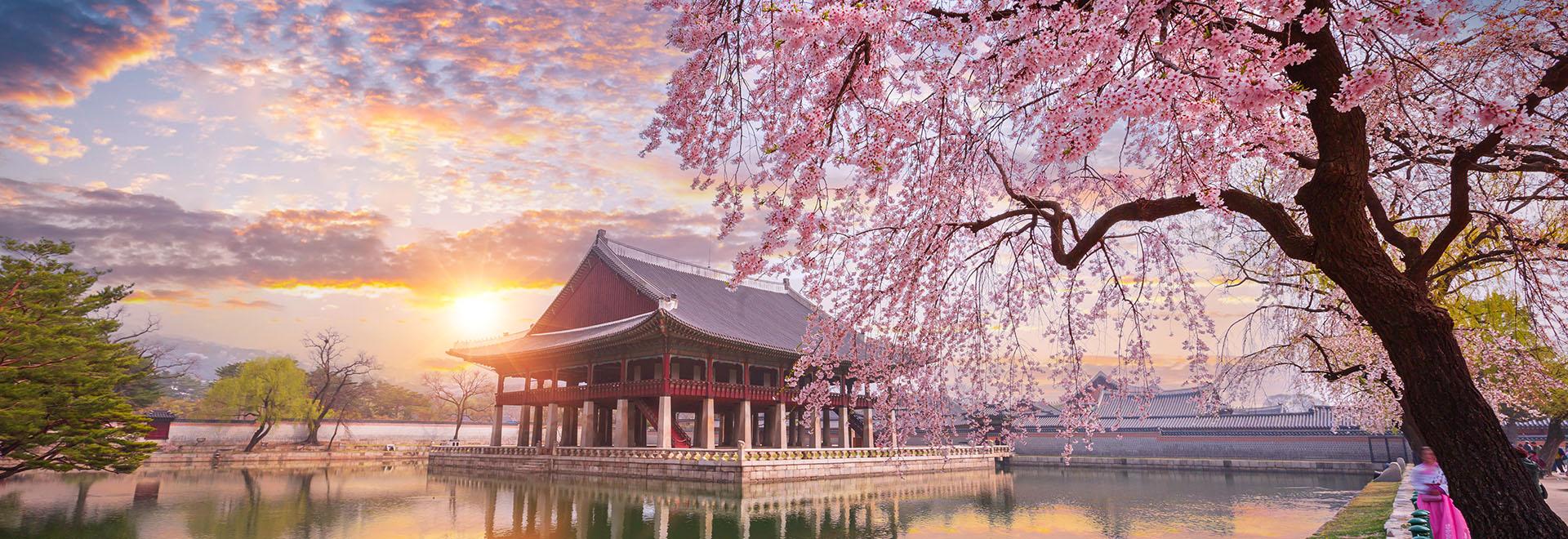 Gyeongbokgung Palace in South Korea