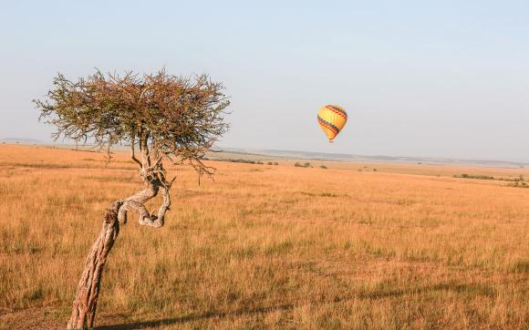 Kenya Safari & Beach Bliss Tour